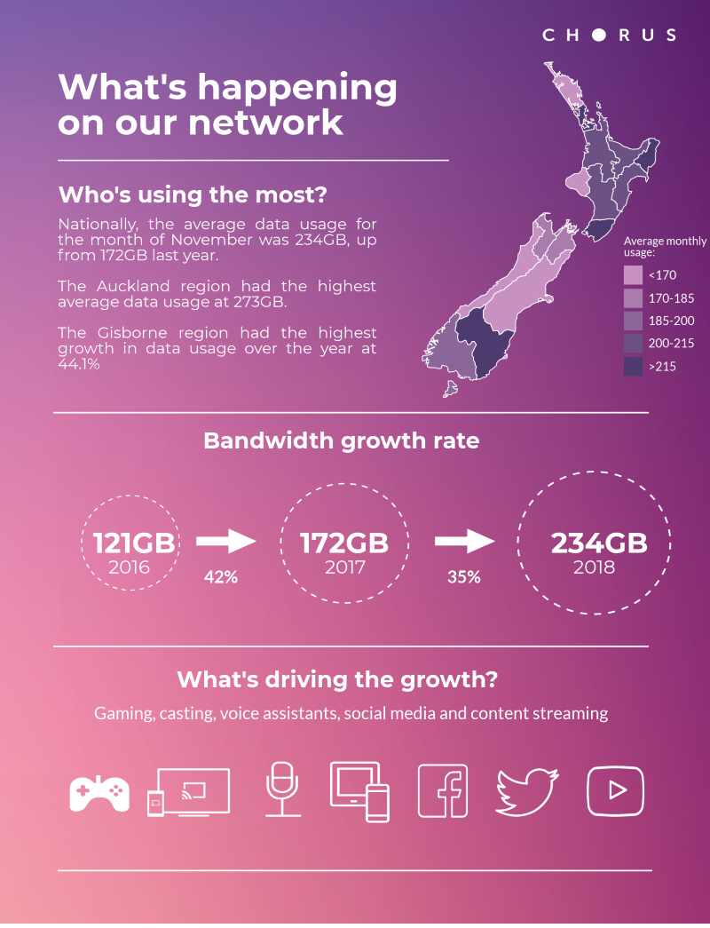 NZ broadband data use infographic